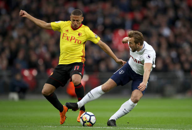 足赛季总场 足赛季总场