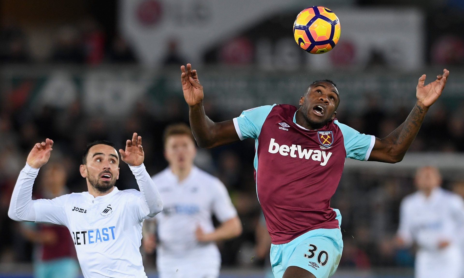 篮板保护 篮板保护